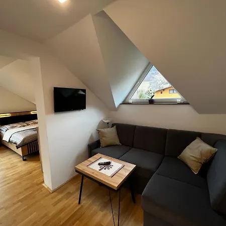 ゲストハウス Goscinne Brokat シュチルク